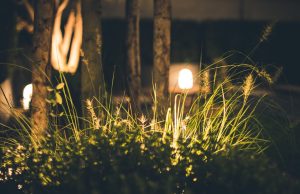 Lampy LED do ogrodu – funkcjonalność i klimat w jednym rozwiązaniu